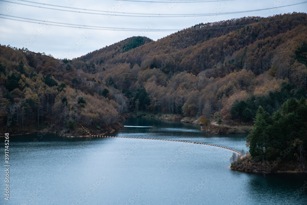 Fototapeta premium 紅葉の風景