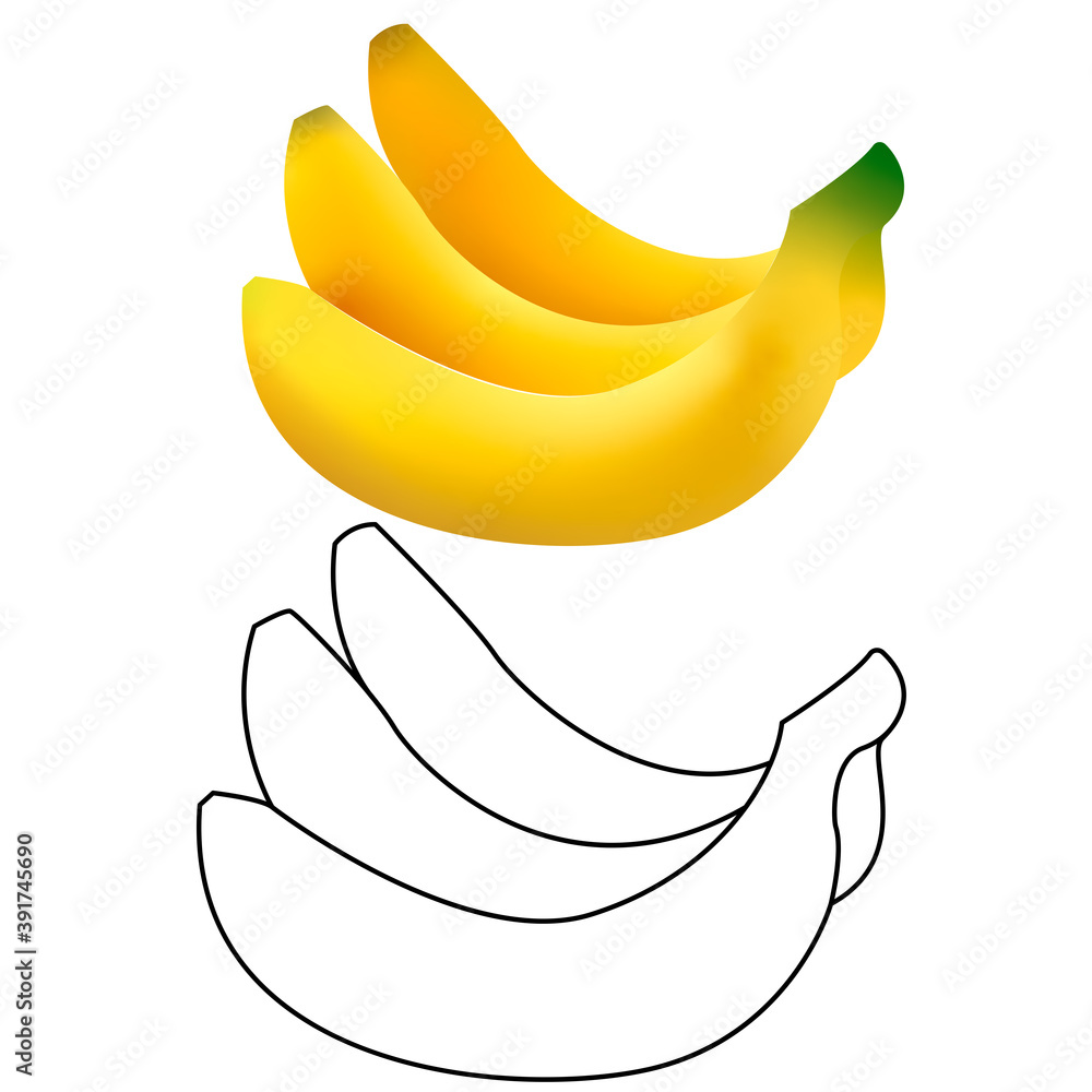 3d and line vector realistic illustration of bunch of bananas. Banana isolated on white background, banana icon 3d and line vector realistic illustration of bunch of bananas. Banana isolated on white background, banana icon
