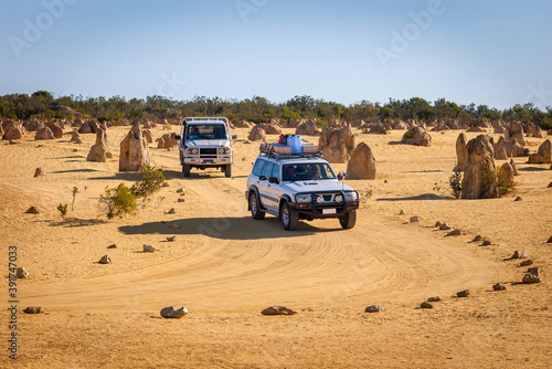 The Pinnacles Desert  Western Australia