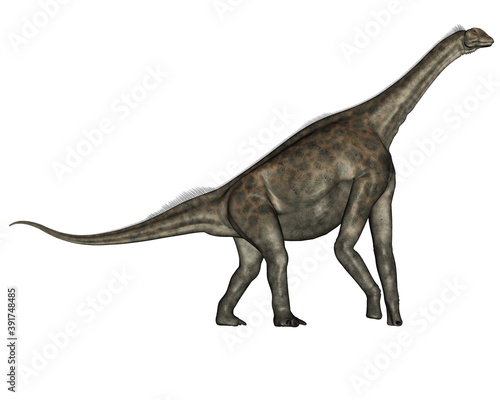 Atlasaurus dinosaurs walking isolated in white background - 3D render © Elenarts