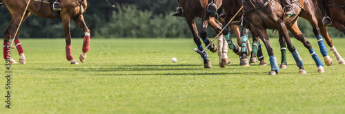 Playing equestrian polo. There are many horse legs and a group of riders in attack with a hammer.
