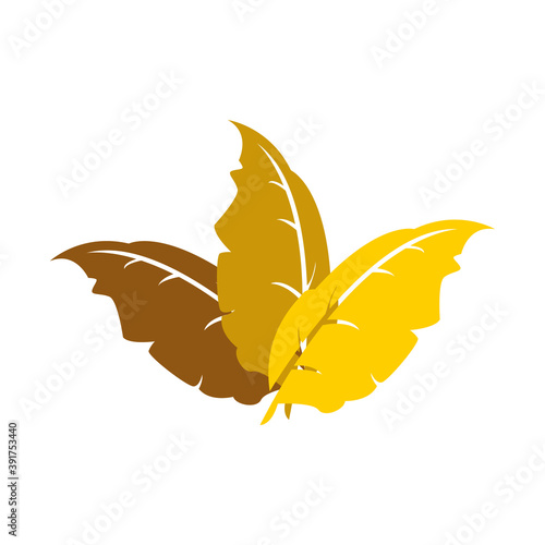 Tobacco Leaf