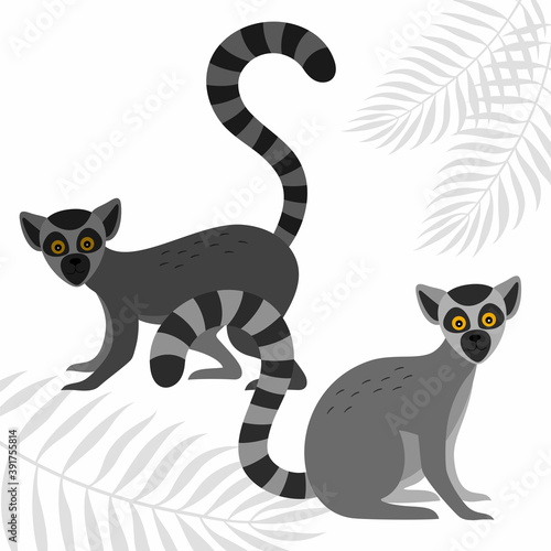 A poster with the lemurs and the silhouettes of the leaves of palm trees.