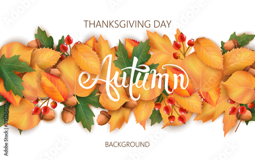 Abstract background with leaves, acorns and berries. Autumnal thematics. Than...