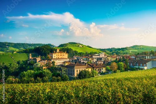 Langhe vineyards panorama  Barolo village  Piedmont  Italy Europe.