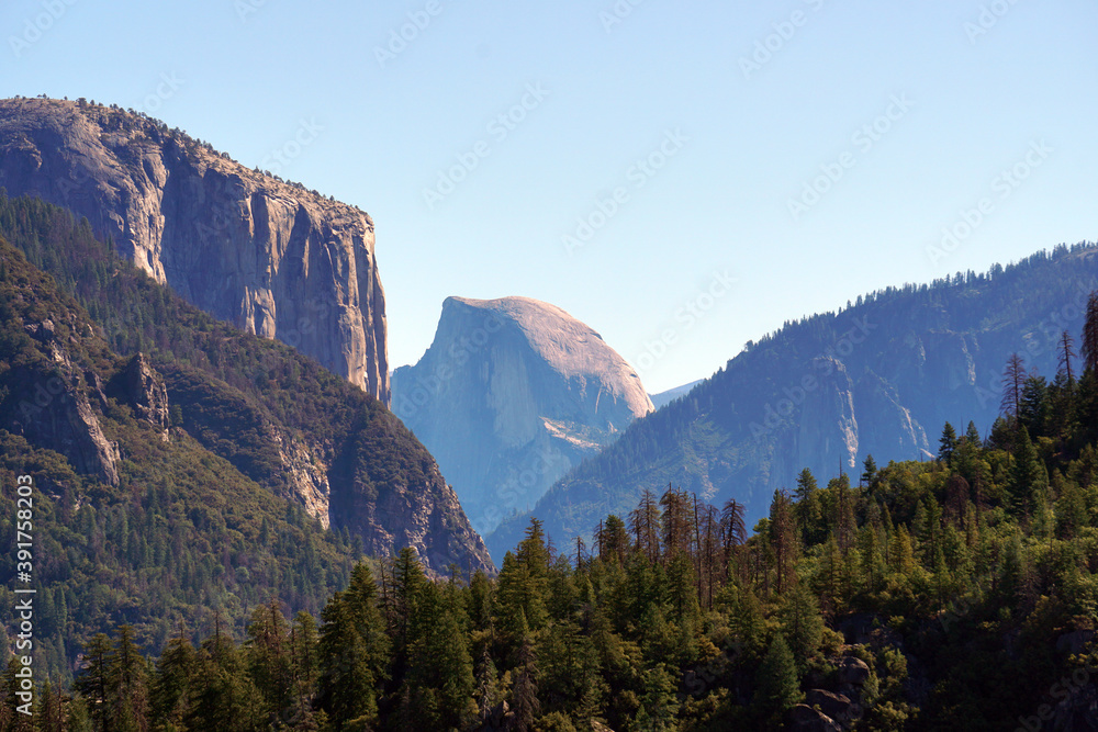 Landscape Closeup Nature view of Yosemite Tunnel View From this vista you can see El Capitan, Half Dome and Pine tree valley at Yosemite National Park Wawona Rd, California, USA - Travel outdoor