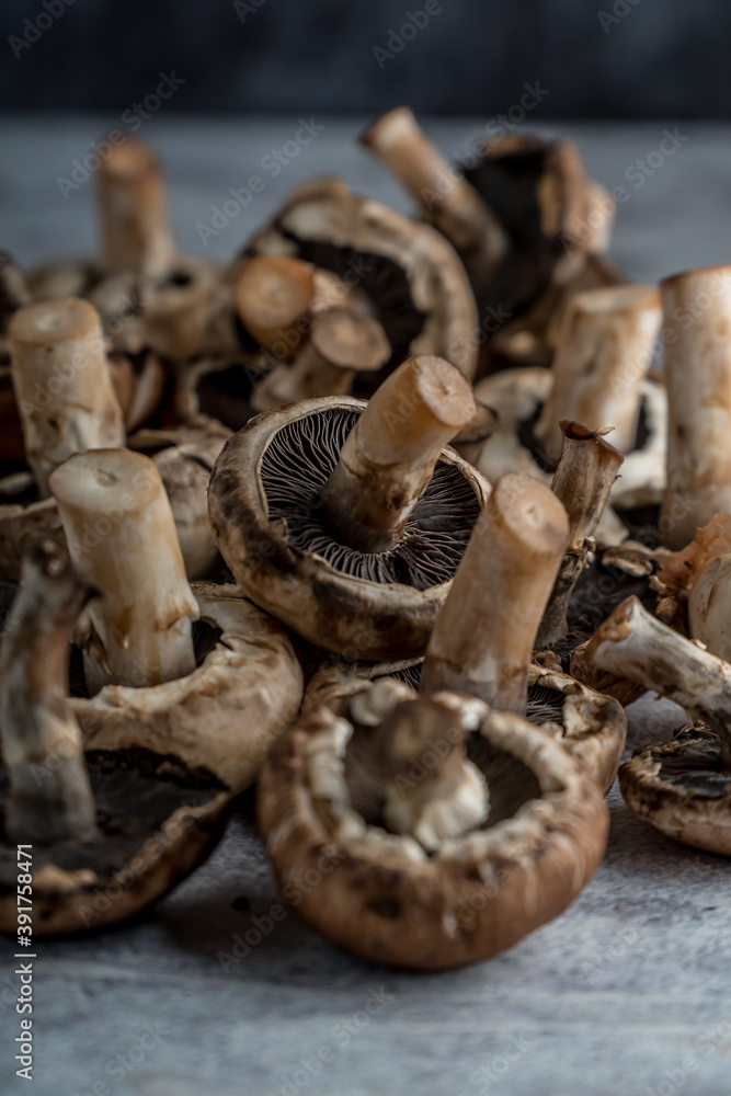 variety of raw mushrooms on a gray table variety of raw mushrooms on a gray table