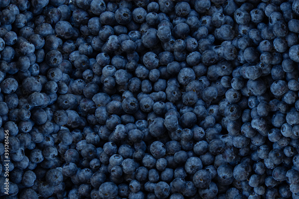 Blueberry Photography, Top view, Fruits background, Fruits pattern background Blueberry Photography, Top view, Fruits background, Fruits pattern background