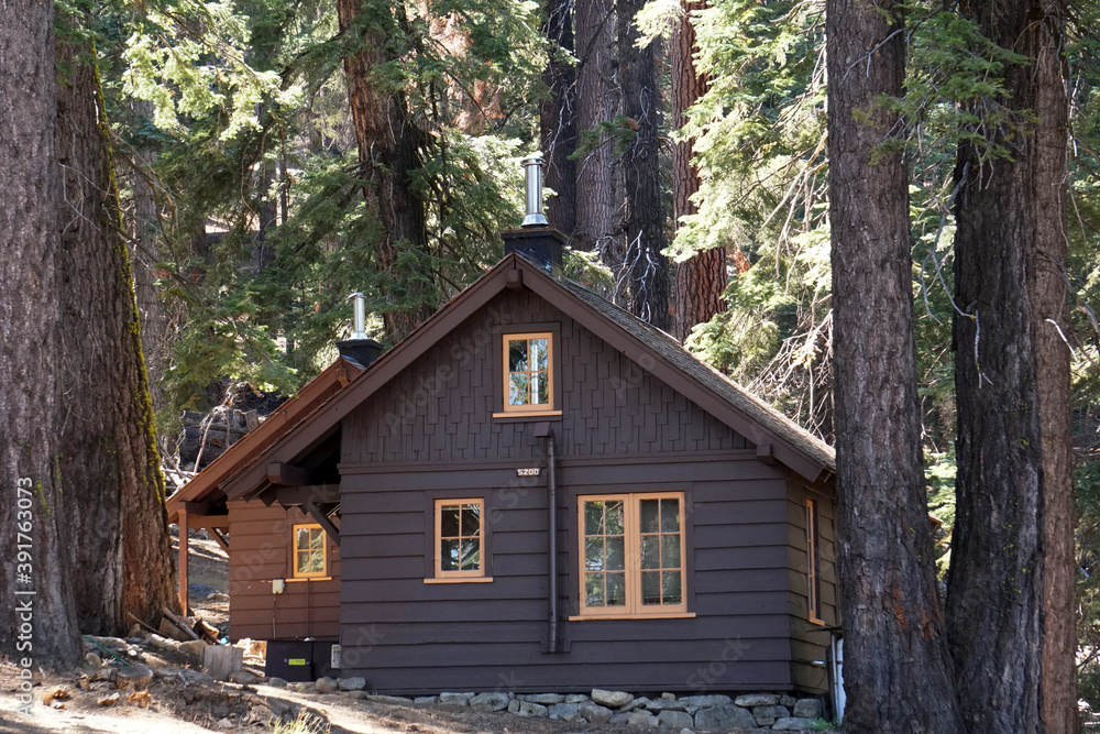 Wooden Cabin in pine tree Forest at Yosemite National park - USA - Take a rest and Travel camping concept Wooden Cabin in pine tree Forest at Yosemite National park - USA - Take a rest and Travel camping concept