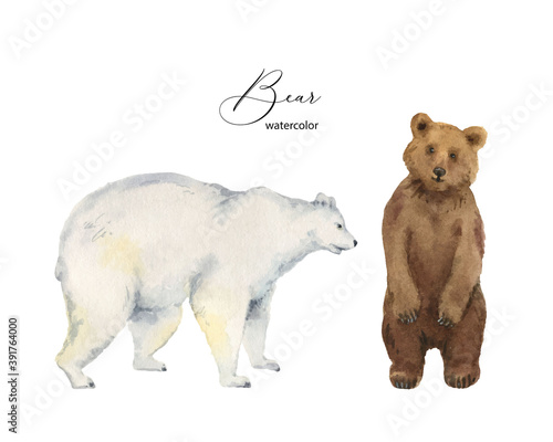 Watercolor vector set with bears isolated on a white background.