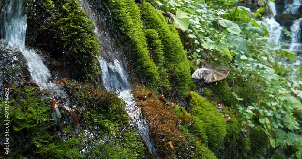 Cinema 4K 60fps Beautiful small brooks and waterfalls in mountains Cinema 4K 60fps Beautiful small brooks and waterfalls in mountains