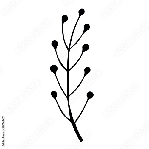 Single hand drawn scandi floral element.  Doodle vector illustration for greeting cards, wedding designs and logos.