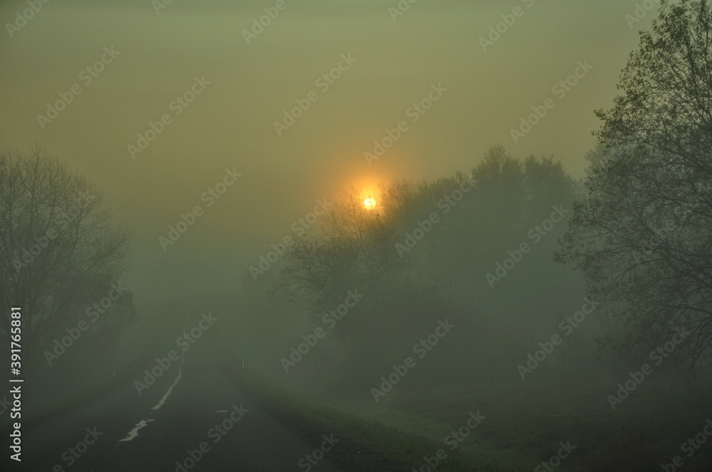 Fototapeta premium Wschód Słońca 