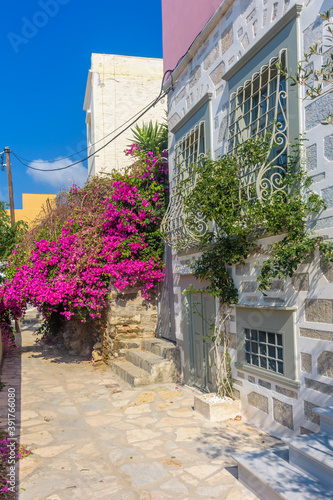Street view of  traditional houses and a colorful bougainvillea tree in Ermoupolis, Syros island, Greece © valantis minogiannis