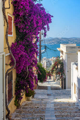Fototapeta Naklejka Na Ścianę i Meble -  Street view of  traditional houses and a colorful bougainvillea tree in Ermoupolis, Syros island, Greece