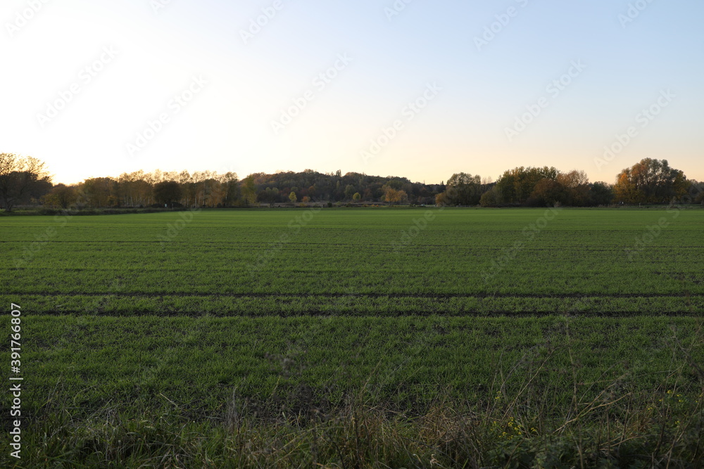 Wiesen bei Blankenfelde Berlin Wiesen bei Blankenfelde Berlin