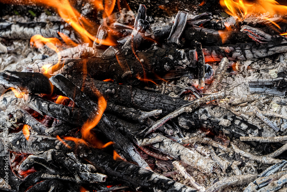 Fire twigs. Burning charcoal in the grill. Fire twigs. Burning charcoal in the grill.