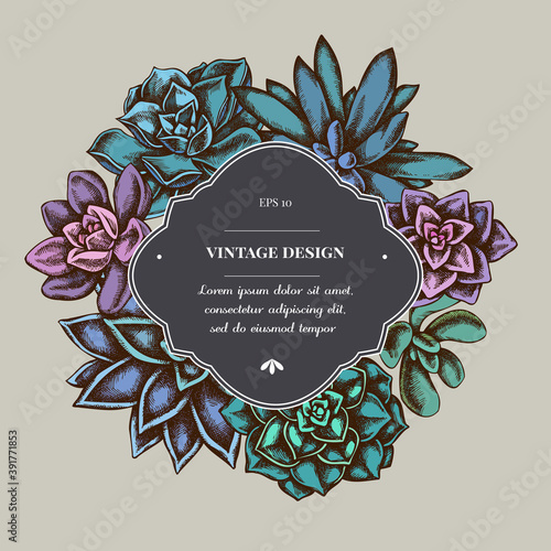 Badge over design with succulent echeveria