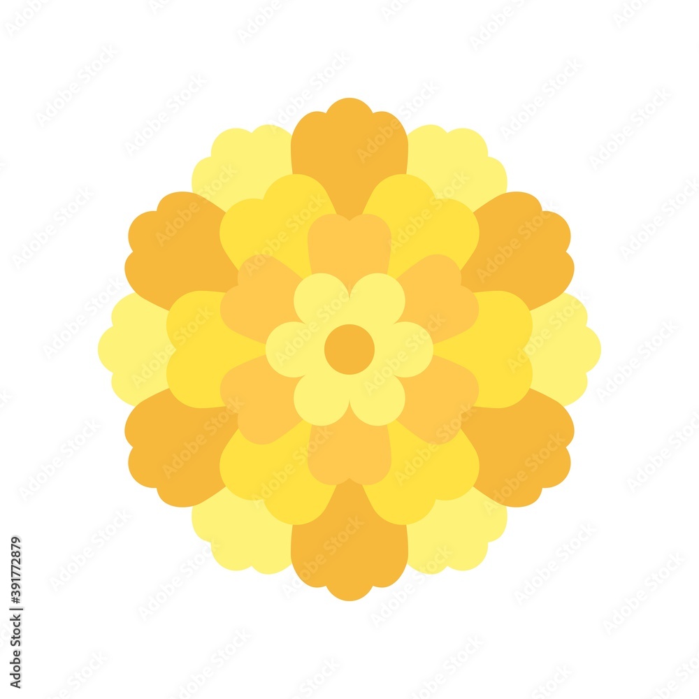 dia de los or muertos related muertos marigold flower vector in flat style,