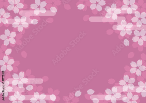 Fototapeta Naklejka Na Ścianę i Meble -  和風桜の背景
