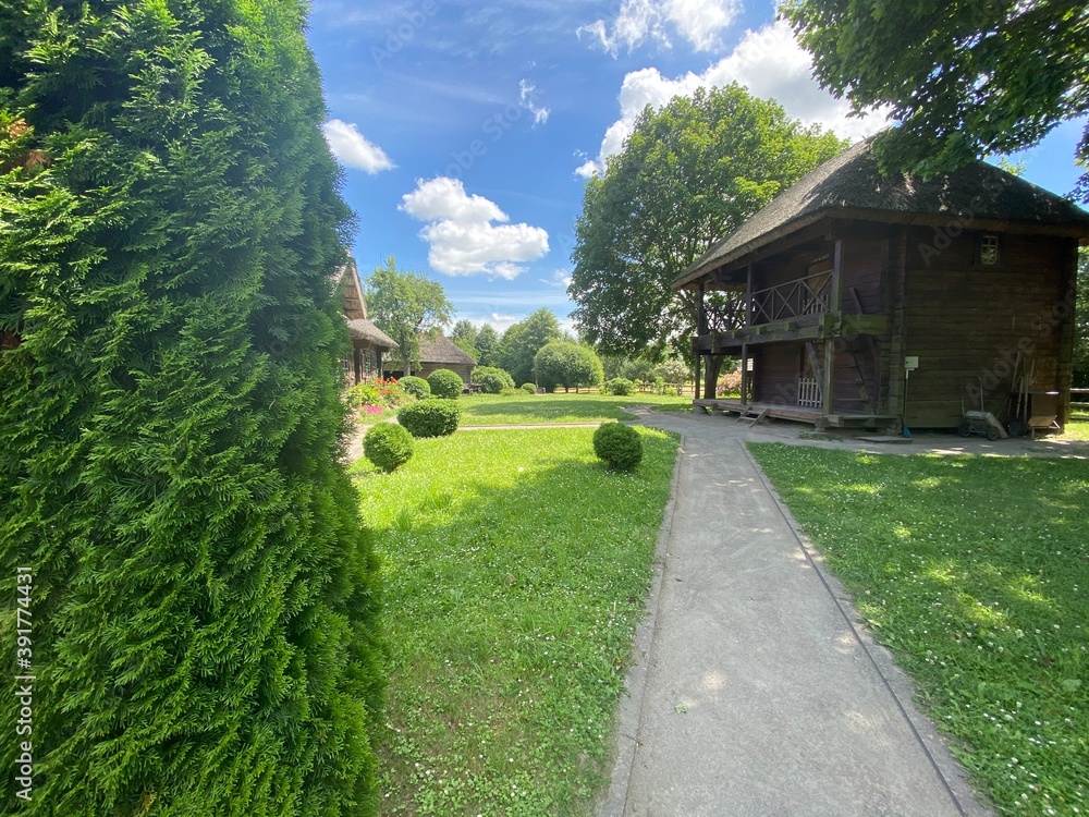 Fototapeta premium house on the hill