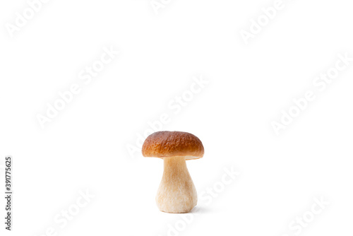 Single brown cap Boletus Edulis isolated on white background. Raw edible mushroom. Nobody