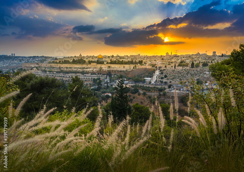 Amazing sunset over Jerusalem: view of Kidron Valley from the southern neighbourhoods to the Old City and Temple Mount; view from the Mount of Olives, with beautiful grassy foreground
