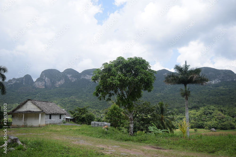 Awesome nature green valley in Cuba Awesome nature green valley in Cuba