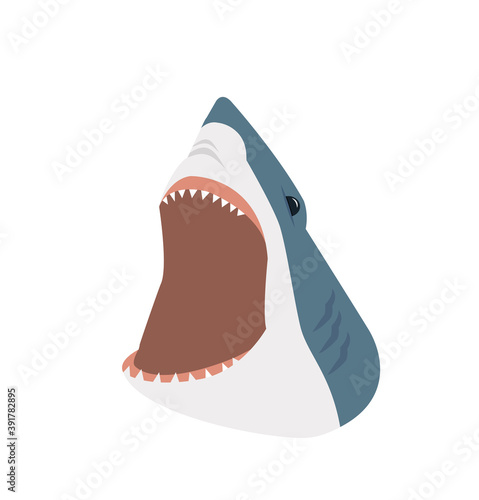 shark with open mouth vector