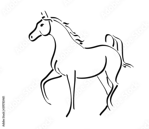 Fototapeta Naklejka Na Ścianę i Meble -  Arabian horse line logo vector illustration