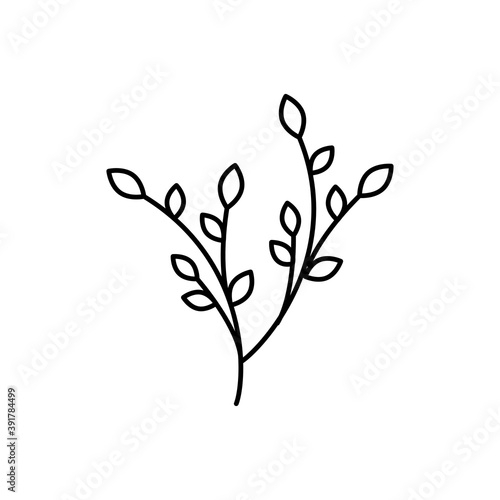 Flower line logo vector template.