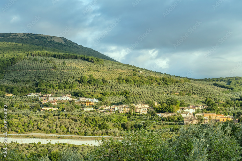 s.Lazzaro village among  olive groves in hilly countryside, Italy