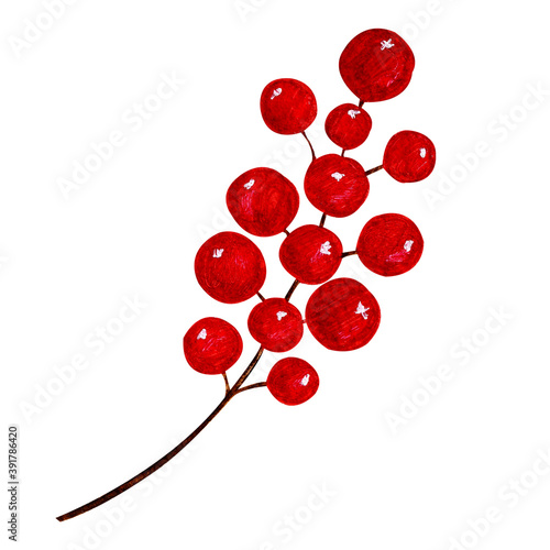 New Year and Christmas red berries bunch,isolated on white background.Watercolor hand drawn illustration of botanical element.For party postcard, stickers,patterns, scrapbooking,printables,posters.