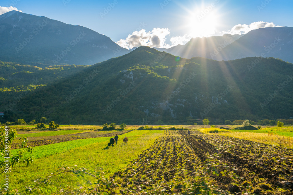 Fototapeta premium Nature, summer landscape in albanian mountains