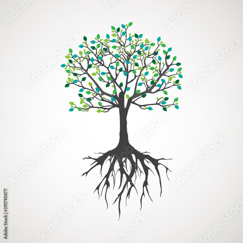 Abstract tree with roots. Vector outline illustration. Plant in Garden.