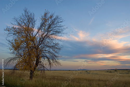 478-21 Grasslands at Sunset, Theodore Roosevelt National Park