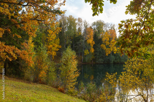 Fall time bright colors around the lake in the forest. Nelijarve, Estonia. © yegorov_nick