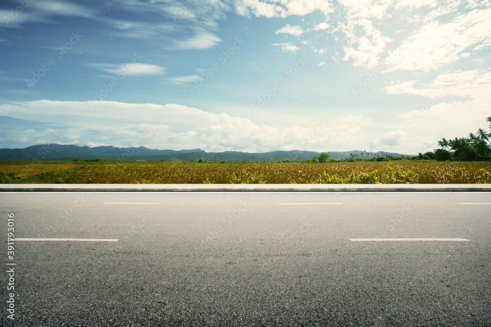 Fototapeta premium Road side paddy field view background