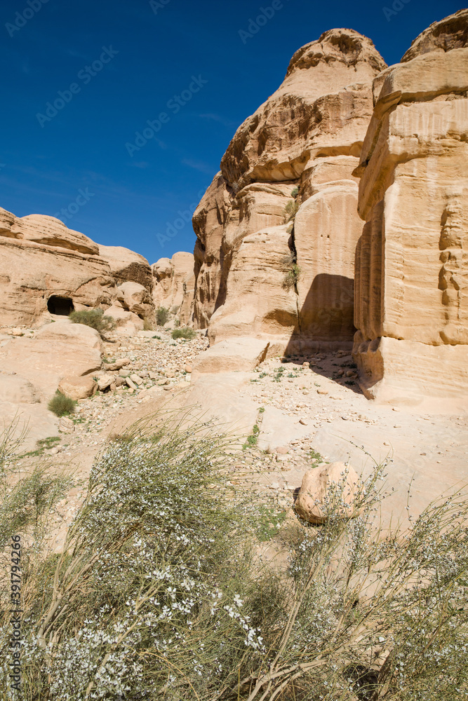 Landscape of the Djinn blocks in the ancient Nabatean city of Petra,  Jordan