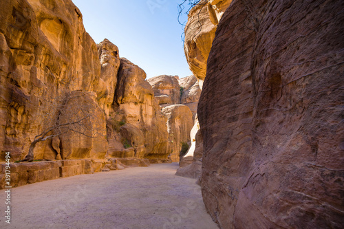 Bild auf Leinwand Landscape of The Siq Canyon, Petra, Jordan