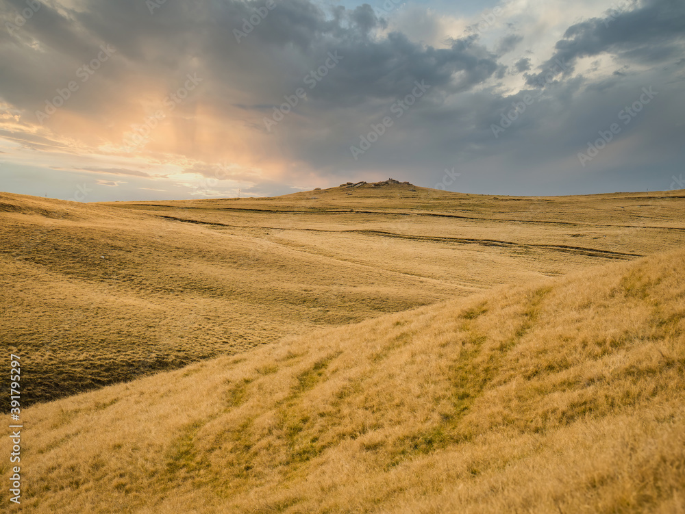 Golden pasture or grassland at sunset or sunrise in the Carpathian Mountains, Romania.