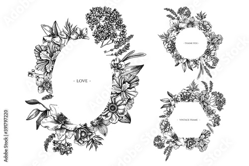 Floral frames with black and white anemone, lavender, rosemary everlasting, phalaenopsis, lily, iris