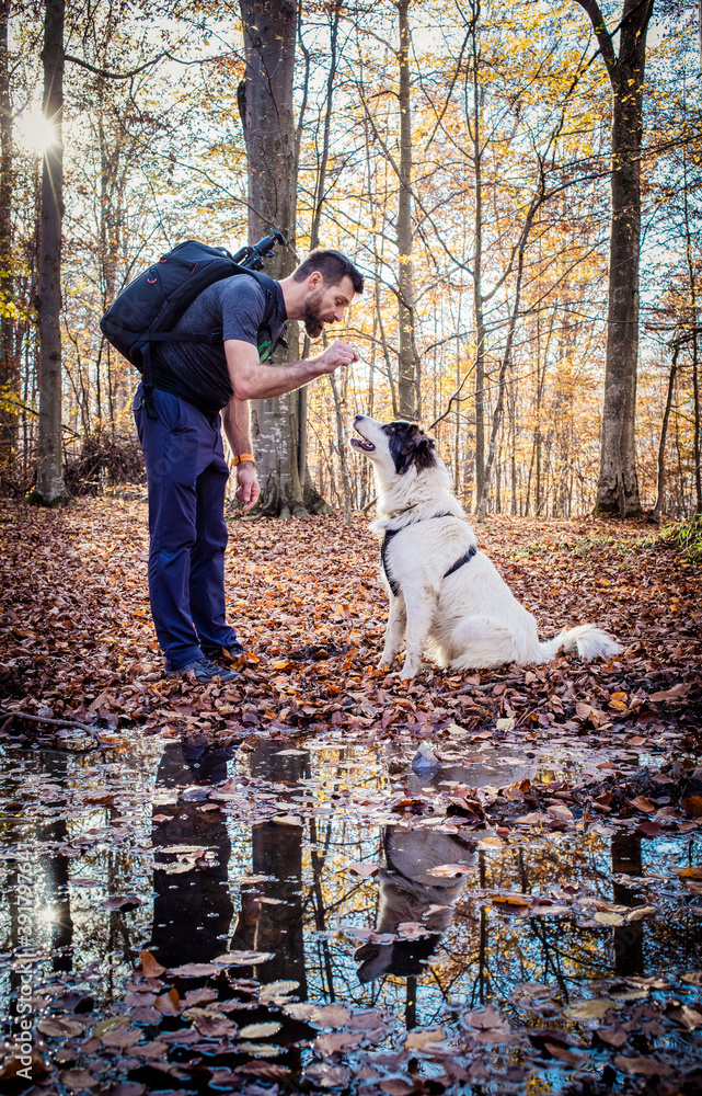 Fototapeta premium man and his shepherd dog in autumn forest