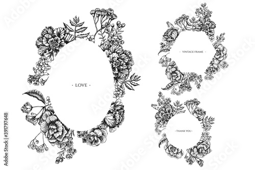 Floral frames with black and white wax flower, forget me not flower, tansy, ardisia, brassica, decorative cabbage