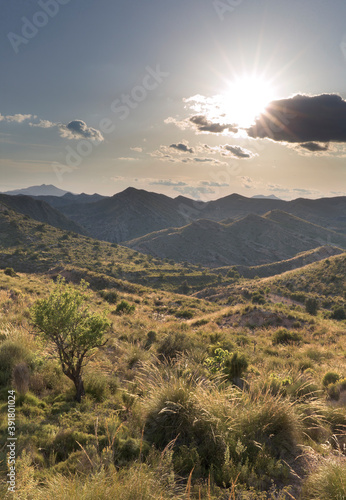 Landscape in La Font del Llop of Monforte del Cid. photo