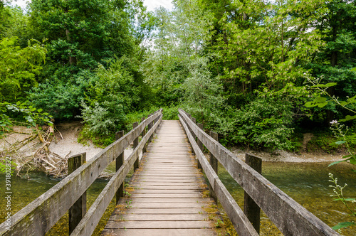 Brugg  Wasserschloss  Flusslandschaft  Aare  Fluss  Aareuferschutzgebiet  Br  cke  Holzbr  cke  Wald  Waldweg  Br  ckenwanderung  Auenschutzpark  Aargau  Sommer  Schweiz