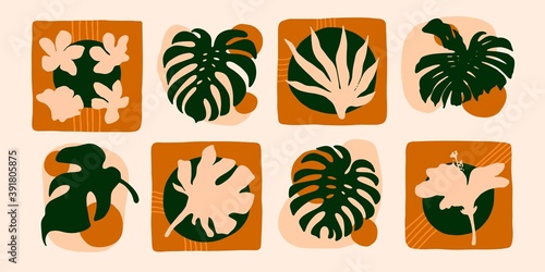 Set of abstract exotic compositions. Modern art background with botanical elements. Design for wall art, tiles,