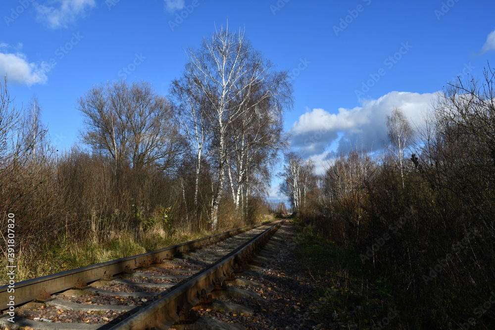 A narrow-gauge railway close-up extending into the distance. Bare trees and bushes along the railway.