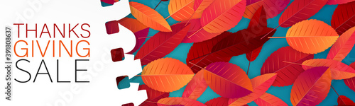 Thanksgiving sale banner, website header or newsletter cover. Red and orange fall leaves covered by a torn out sheet of paper realistic vector illustration with lettering.