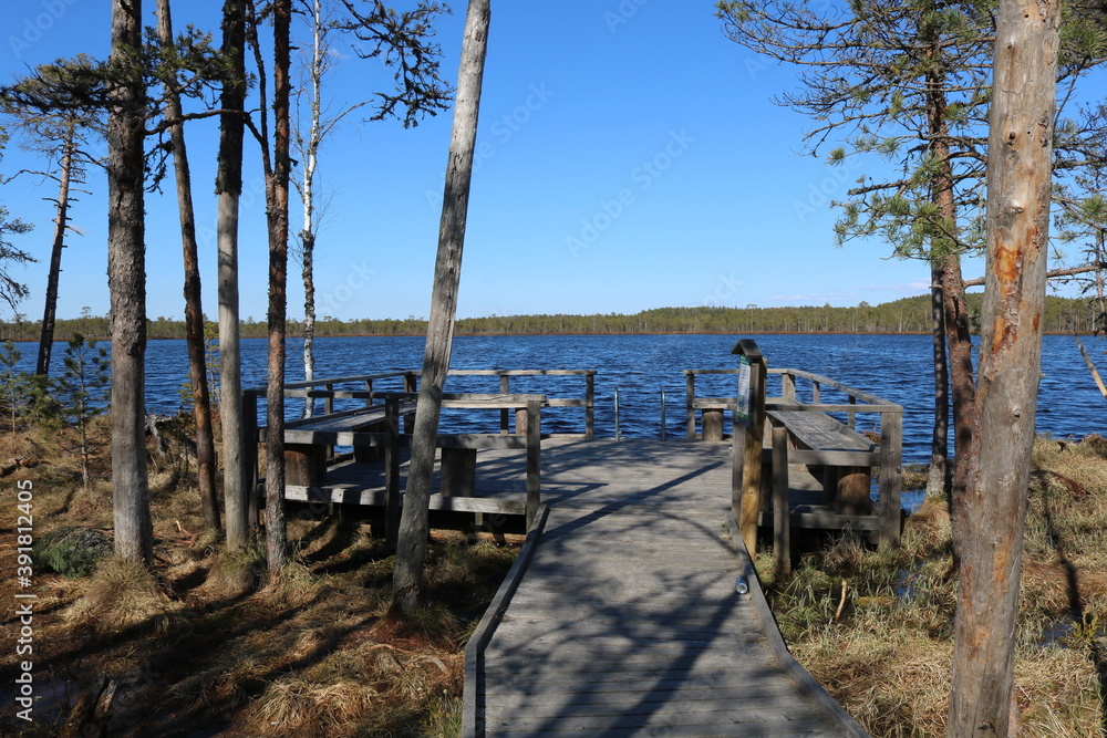 Bog lake in South Estonia
